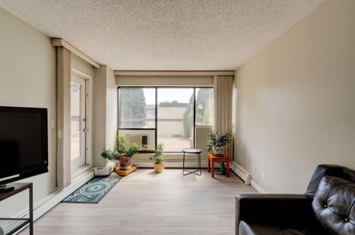 106-659 4 Avenue Ne, Calgary, AB - Indoor Photo Showing Living Room