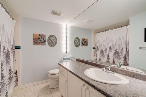 106-659 4 Avenue Ne, Calgary, AB - Indoor Photo Showing Bathroom