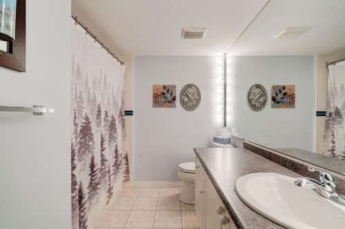 106-659 4 Avenue Ne, Calgary, AB - Indoor Photo Showing Bathroom