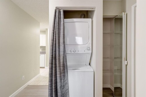 106-659 4 Avenue Ne, Calgary, AB - Indoor Photo Showing Laundry Room