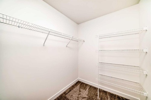 267 Chelsea Heath, Chestermere, AB - Indoor With Storage