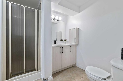 399 Maitland Crescent Ne, Calgary, AB - Indoor Photo Showing Bathroom