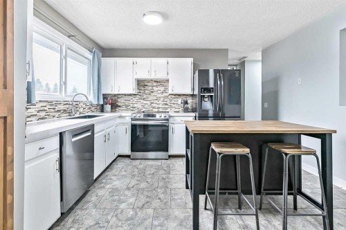 399 Maitland Crescent Ne, Calgary, AB - Indoor Photo Showing Kitchen With Upgraded Kitchen