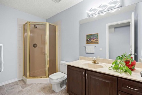 1331 Sunvista Way Se, Calgary, AB - Indoor Photo Showing Bathroom