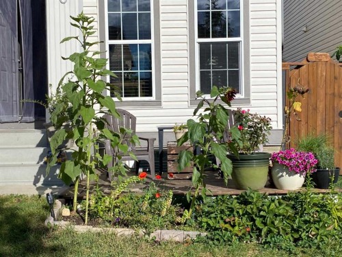 6 Elgin Meadows Gardens Se, Calgary, AB - Outdoor