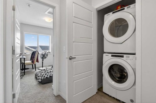 403-137 Red Embers Link Ne, Calgary, AB - Indoor Photo Showing Laundry Room
