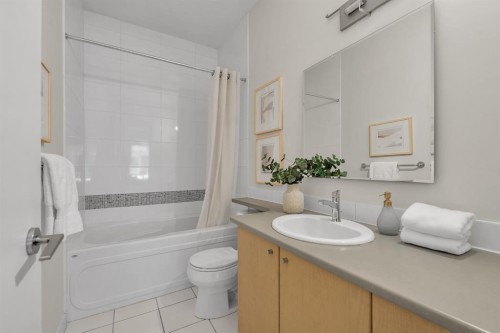 409-1000 Centre Avenue Ne, Calgary, AB - Indoor Photo Showing Bathroom