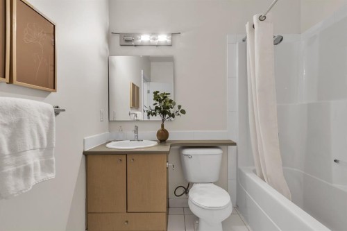 409-1000 Centre Avenue Ne, Calgary, AB - Indoor Photo Showing Bathroom