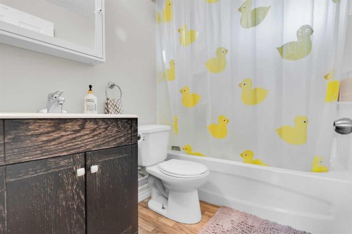4224 Worcester Drive Sw, Calgary, AB - Indoor Photo Showing Bathroom