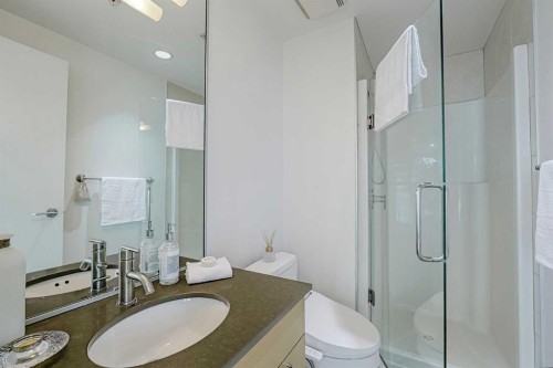 705-433 11 Avenue Se, Calgary, AB - Indoor Photo Showing Bathroom
