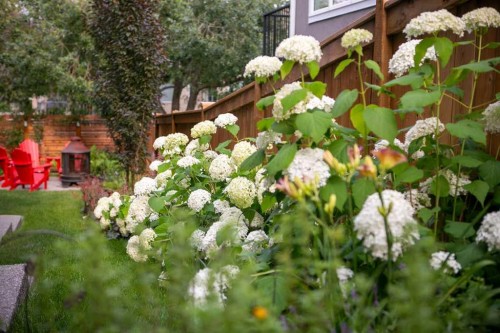 105 Westpoint Way Sw, Calgary, AB - Outdoor