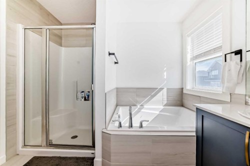 357 Nolanhurst Crescent Nw, Calgary, AB - Indoor Photo Showing Bathroom