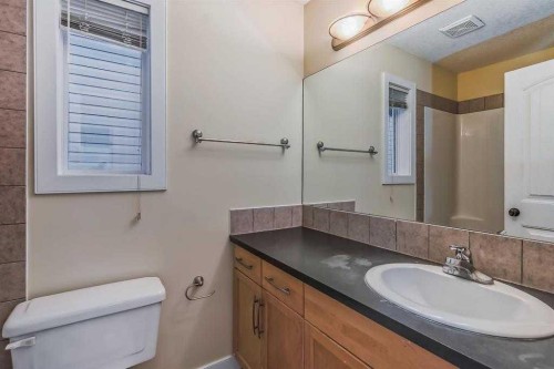 211 Saddlebrook Way Ne, Calgary, AB - Indoor Photo Showing Bathroom