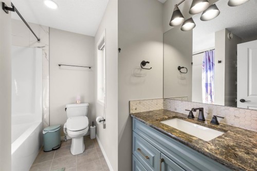 17 Calhoun Crescent Ne, Calgary, AB - Indoor Photo Showing Bathroom