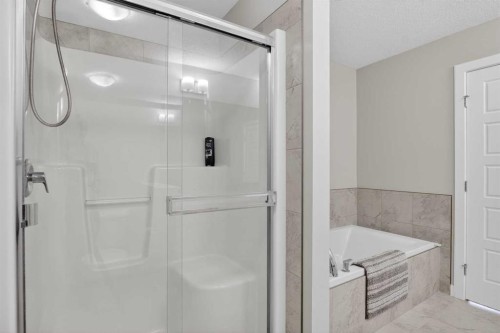 229 Nolanhurst Way Nw, Calgary, AB - Indoor Photo Showing Bathroom