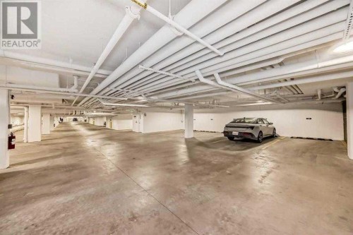 2409-395 Skyview Parkway Ne, Calgary, AB - Indoor Photo Showing Garage