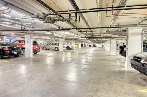 210-20 Walgrove Walk Se, Calgary, AB - Indoor Photo Showing Garage