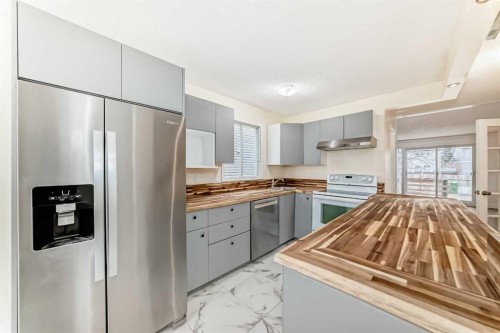5 Templeby Way Ne, Calgary, AB - Indoor Photo Showing Kitchen With Double Sink