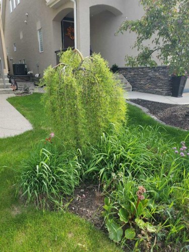 386 Mahogany Terrace Se, Calgary, AB - Outdoor