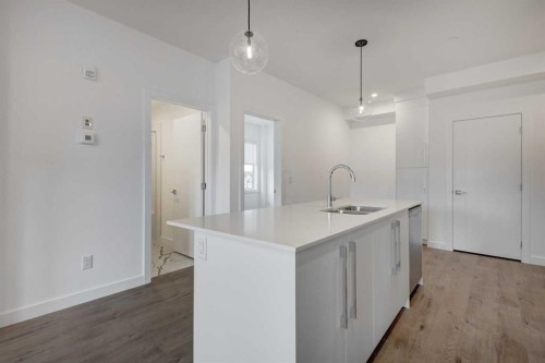 4304-111 Wolf Creek Drive Se, Calgary, AB - Indoor Photo Showing Kitchen With Double Sink