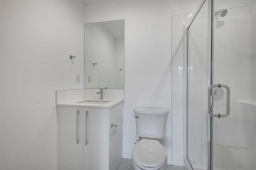 4304-111 Wolf Creek Drive Se, Calgary, AB - Indoor Photo Showing Bathroom