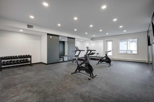 4304-111 Wolf Creek Drive Se, Calgary, AB - Indoor Photo Showing Gym Room