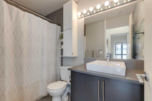 202-414 Meredith Road Ne, Calgary, AB - Indoor Photo Showing Bathroom