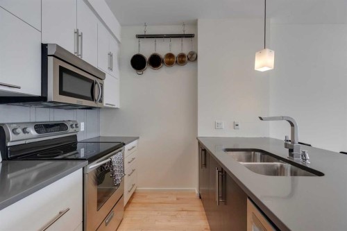 202-414 Meredith Road Ne, Calgary, AB - Indoor Photo Showing Kitchen With Double Sink