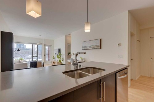 202-414 Meredith Road Ne, Calgary, AB - Indoor Photo Showing Kitchen With Double Sink