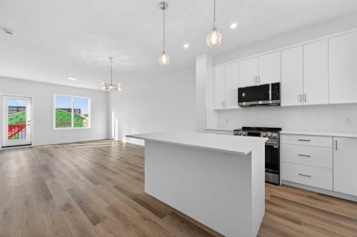 32 Red Embers Plaza Ne, Calgary, AB - Indoor Photo Showing Kitchen With Upgraded Kitchen