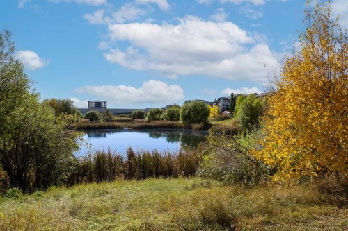 114 Morningside Circle Sw, Airdrie, AB - Outdoor With View