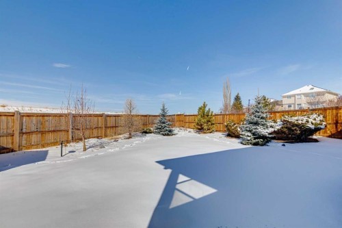 642 Schooner Cove Nw, Calgary, AB - Outdoor