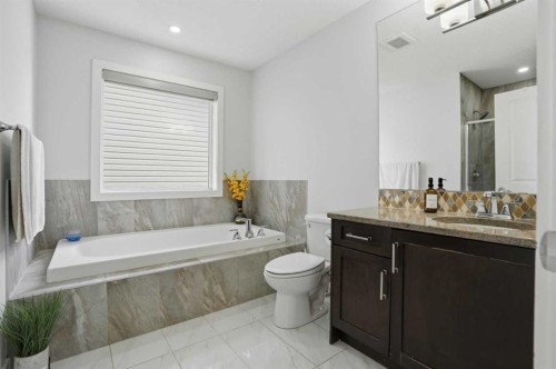 154 Saddlelake Way Ne, Calgary, AB - Indoor Photo Showing Bathroom