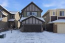 154 Saddlelake Way Ne, Calgary, AB  - Outdoor With Exterior 