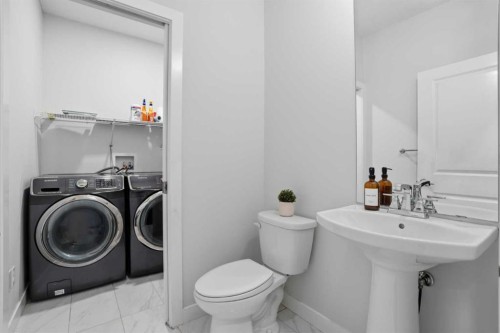 154 Saddlelake Way Ne, Calgary, AB - Indoor Photo Showing Laundry Room