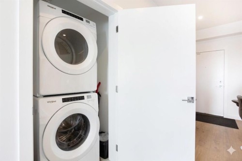 2620-60 Skyview Ranch Road Ne, Calgary, AB - Indoor Photo Showing Laundry Room