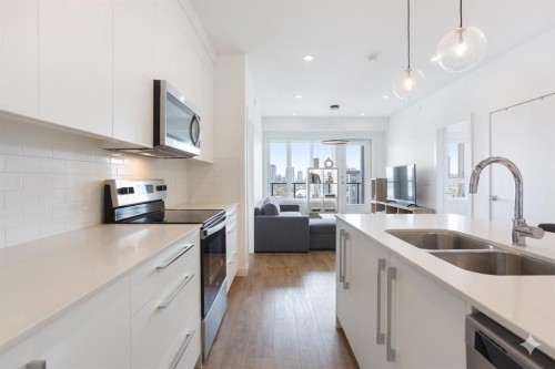 2620-60 Skyview Ranch Road Ne, Calgary, AB - Indoor Photo Showing Kitchen With Double Sink With Upgraded Kitchen