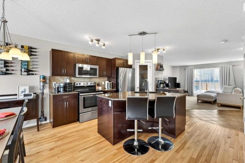 336 Cranberry Circle Se, Calgary, AB - Indoor Photo Showing Kitchen With Upgraded Kitchen