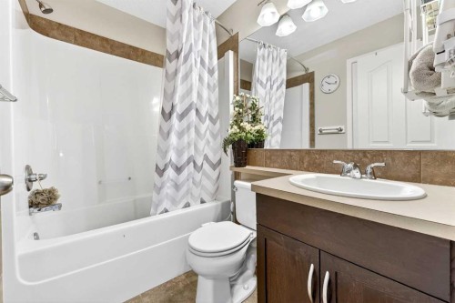 336 Cranberry Circle Se, Calgary, AB - Indoor Photo Showing Bathroom
