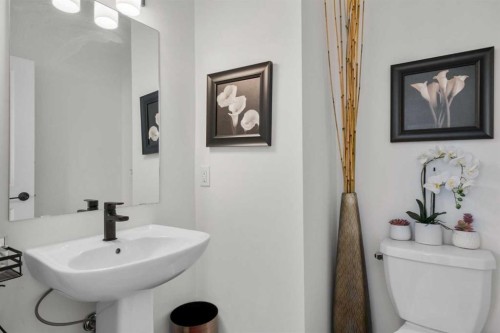 244 Sovereign Common Sw, Calgary, AB - Indoor Photo Showing Bathroom