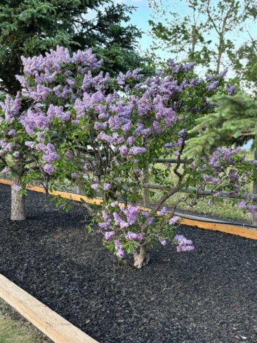 270165 Range Road 291 Se, Airdrie, AB - Outdoor