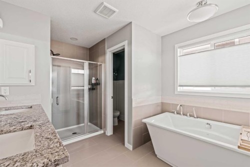 65 Sunrise Crescent, Cochrane, AB - Indoor Photo Showing Bathroom
