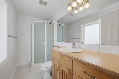 172 Somme Manor Sw, Calgary, AB - Indoor Photo Showing Bathroom