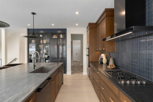 110 Herron Way Ne, Calgary, AB - Indoor Photo Showing Kitchen With Upgraded Kitchen