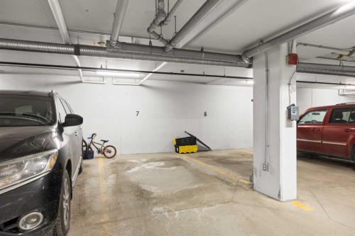 208-4818 Varsity Drive Nw, Calgary, AB - Indoor Photo Showing Garage