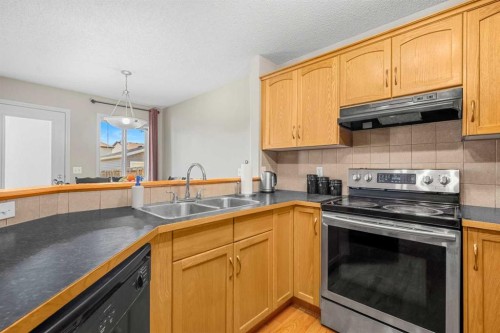83 Saddlebrook Gardens Ne, Calgary, AB - Indoor Photo Showing Kitchen With Double Sink