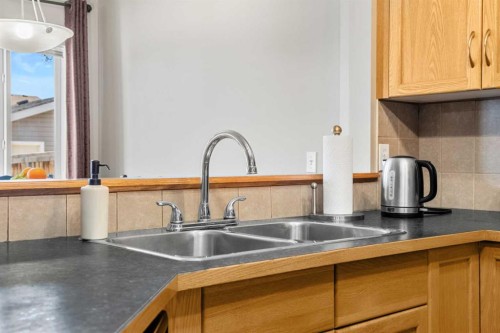 83 Saddlebrook Gardens Ne, Calgary, AB - Indoor Photo Showing Kitchen With Double Sink