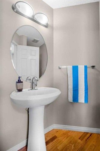 83 Saddlebrook Gardens Ne, Calgary, AB - Indoor Photo Showing Bathroom