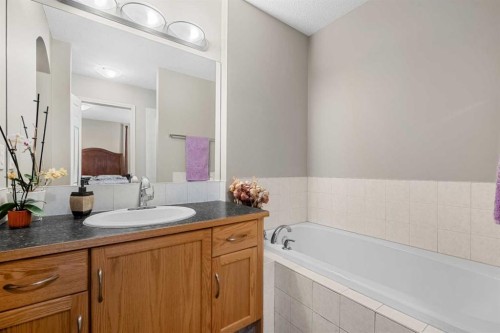 83 Saddlebrook Gardens Ne, Calgary, AB - Indoor Photo Showing Bathroom