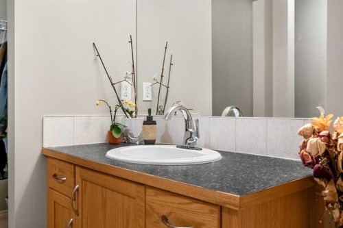 83 Saddlebrook Gardens Ne, Calgary, AB - Indoor Photo Showing Bathroom